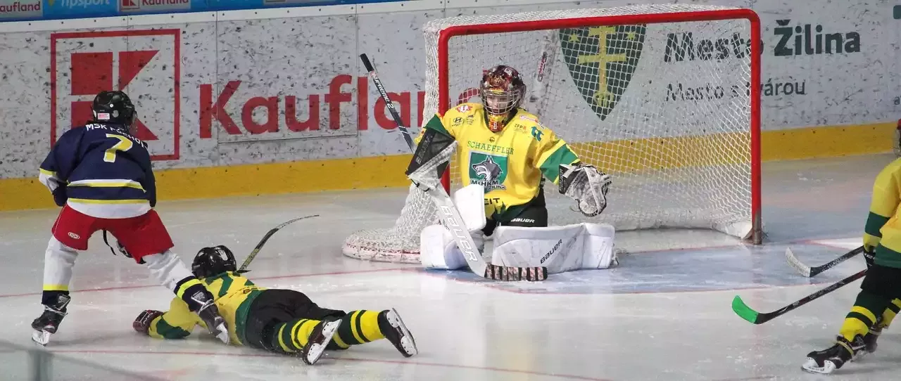 How to Choose Quality Ice Hockey Gloves